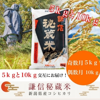 【発送月固定定期便】謙信秘蔵米(精米)　月替わり発送　奇数月5kg・偶数月10kg全12回