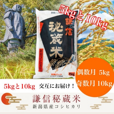 【発送月固定定期便】謙信秘蔵米(精米)　月替わり発送＜偶数月5kg・奇数月10kg＞全12回
