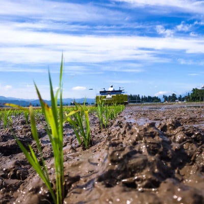 【発送月固定定期便】【偶数月】謙信秘蔵米10kg全6回