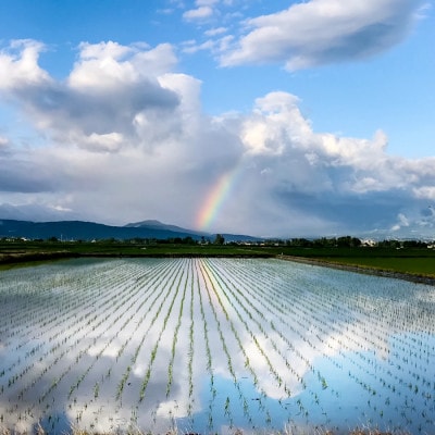 【発送月固定定期便】【偶数月】謙信秘蔵米10kg全6回