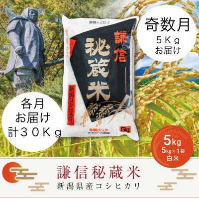 2023年1月発送開始『定期便』謙信秘蔵米5kg(精米)全6回