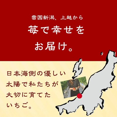 ギフト箱入り　雪国完熟いちご越後姫380g2p入り　ダブル