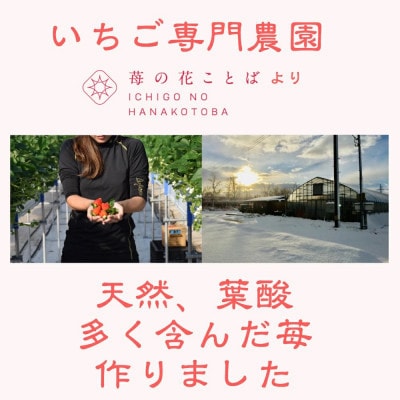 雪国完熟いちご越後姫　170g×2P