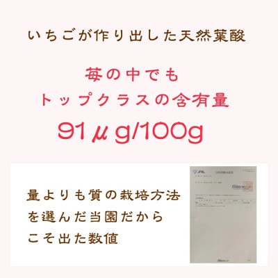 雪国完熟いちご越後姫　170g×2P