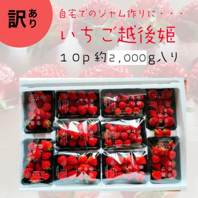 訳あり越後姫 10パックセット 約2000g入り