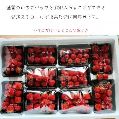 訳あり越後姫 10パックセット 約2000g入り