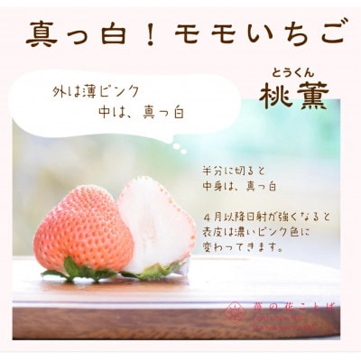 桃薫 320g(9～15粒入り)