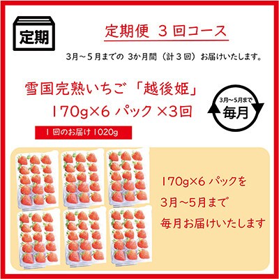 【発送月固定定期便】雪国完熟いちご越後姫170g×6パック全3回