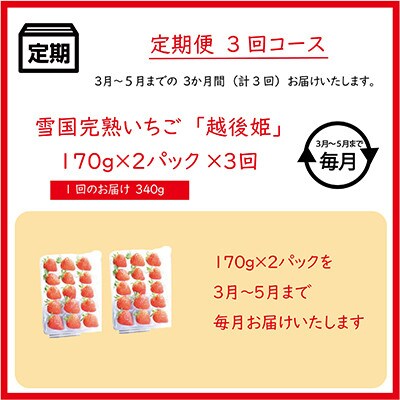 【発送月固定定期便】雪国完熟いちご越後姫170g×2パック全3回
