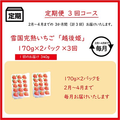 【発送月固定定期便】雪国完熟いちご越後姫170g×2パック全3回