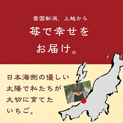 【発送月固定定期便】雪国完熟いちご越後姫170g×2パック全3回