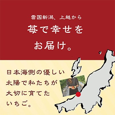 【発送月固定定期便】雪国完熟いちご越後姫170g×6パック全3回