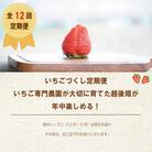 【発送月固定定期便】いちごづくし定期配送 全12回