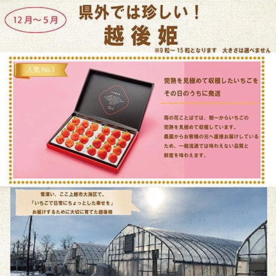 【発送月固定定期便】いちごづくし定期配送 全12回