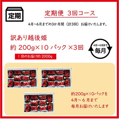 【発送月固定定期便】【4月～6月発送】訳あり越後姫10pセット 約2000g入り全3回
