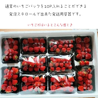 【発送月固定定期便】【2025年4月～6月発送】訳あり越後姫10pセット 約2000g入り全3回