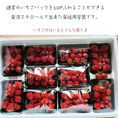 【発送月固定定期便】【4月～6月発送】訳あり越後姫10pセット 約2000g入り全3回