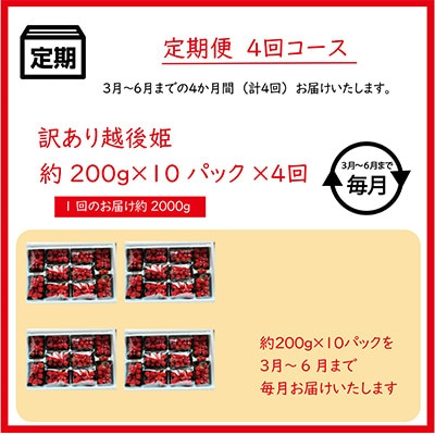 【発送月固定定期便】【3月～6月発送】訳あり越後姫10pセット 約2000g入り全4回