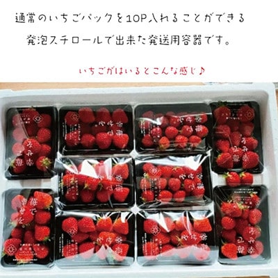 【発送月固定定期便】【3月～6月発送】訳あり越後姫10pセット 約2000g入り全4回