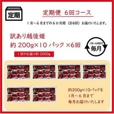 【発送月固定定期便】【2025年1月～6月発送】訳あり越後姫10pセット 約2000g入り全6回