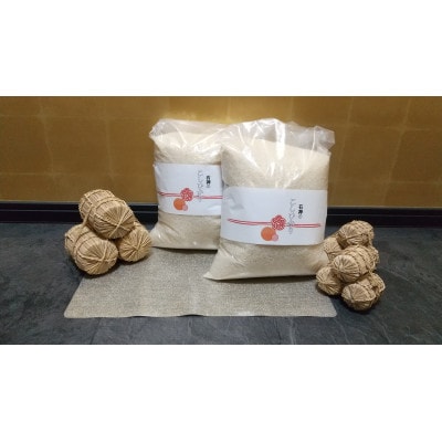 【先行予約】上越頸城産　「こしひかり」精米10kg(5kg×2袋)