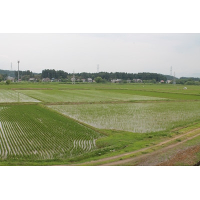 【先行予約】上越頸城産　「こしひかり」精米5kg