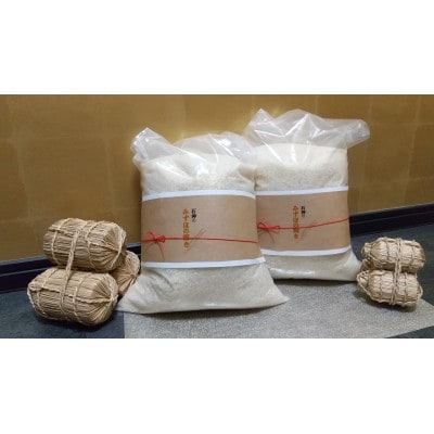 【先行予約】上越頸城産　上越で生まれた新品種「みずほの輝き」精米10kg(5kg×2袋)
