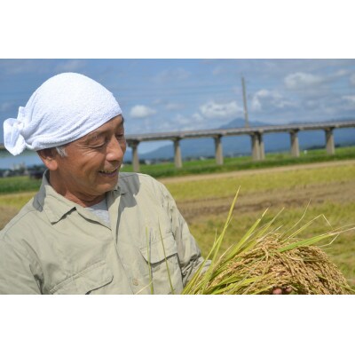 【令和6年産】新潟県上越産特別栽培米こしひかり5kg　精米