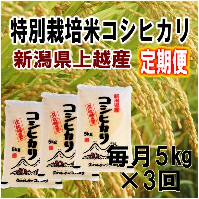 【毎月定期便】新潟県上越産特別栽培米こしひかり5kg 精米全3回