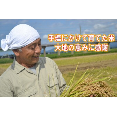 【毎月定期便】新潟県上越産特別栽培米こしひかり5kg 精米全3回