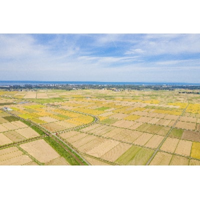 【令和4年産】新潟上越産お米食べ比べセット(3品種) 15kg(5kg×3品種)