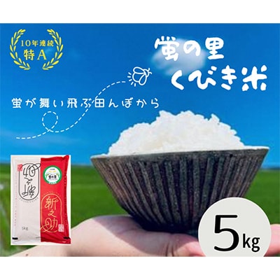 【令和6年産】新潟上越産　新之助5kg　
