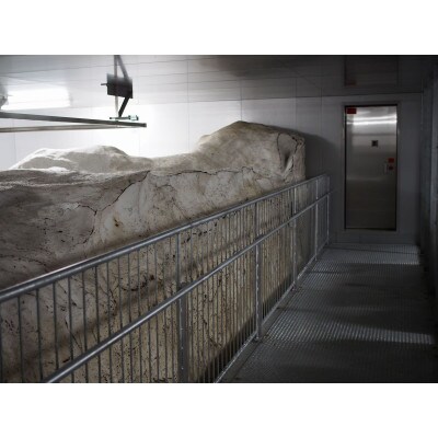 雪むろ棚田米コシヒカリ 20kg 精米