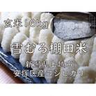 雪むろ棚田米コシヒカリ 10kg 玄米