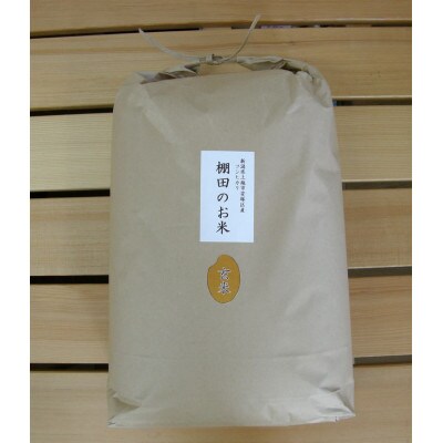 雪むろ棚田米コシヒカリ 10kg 玄米