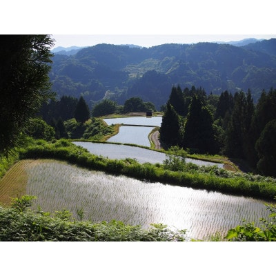 雪むろ棚田米新之助 2kg 精米