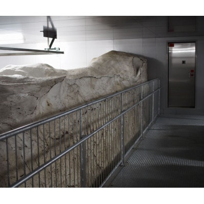 雪むろ棚田米新之助 2kg 精米