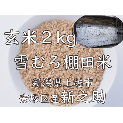 雪むろ棚田米新之助 2kg 玄米
