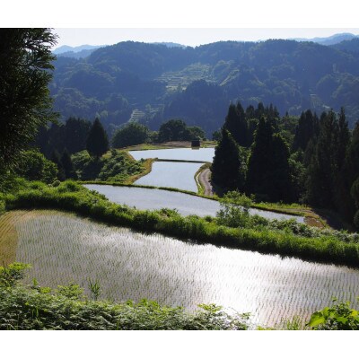 雪むろ棚田米新之助 5kg 玄米