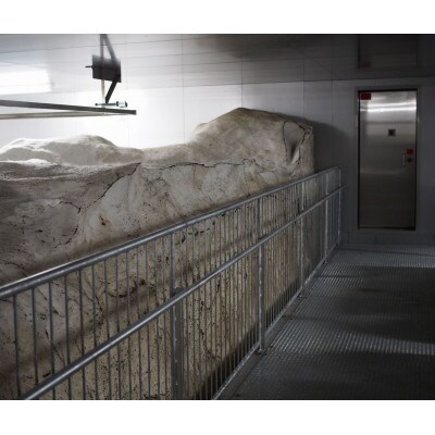 雪むろ棚田米新之助 5kg 玄米