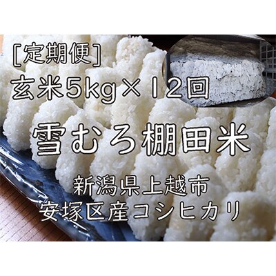 【毎月定期便】雪むろ棚田米コシヒカリ5kg玄米-新潟県上越市安塚区産-全12回