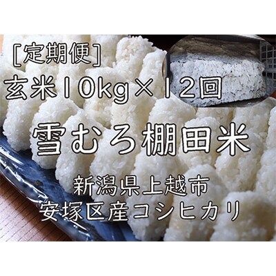 【毎月定期便】雪むろ棚田米コシヒカリ10kg玄米-新潟県上越市安塚区産-全12回