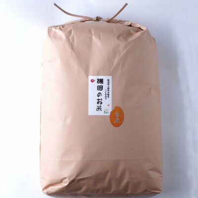 【毎月定期便】雪むろ棚田米コシヒカリ20kg玄米-新潟県上越市安塚区産-全3回