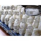 【毎月定期便】雪むろ棚田米コシヒカリ20kg玄米-新潟県上越市安塚区産-全12回