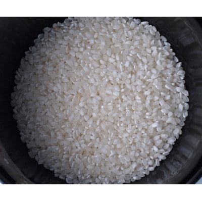 【毎月定期便】雪むろ棚田米コシヒカリ2kg精米-新潟県上越市安塚区産-全12回