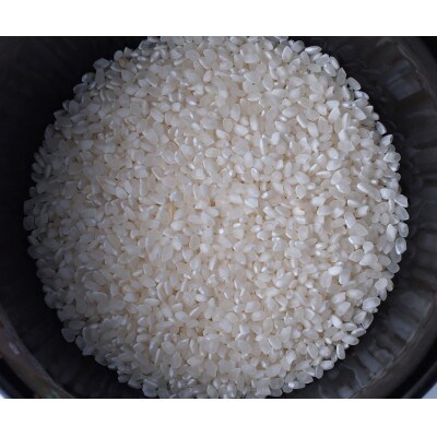 【毎月定期便】雪むろ棚田米コシヒカリ5kg精米-新潟県上越市安塚区産-全3回