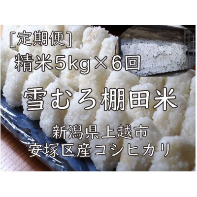 【毎月定期便】雪むろ棚田米コシヒカリ5kg精米-新潟県上越市安塚区産-全6回