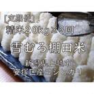 【毎月定期便】雪むろ棚田米コシヒカリ20kg精米-新潟県上越市安塚区産-全3回