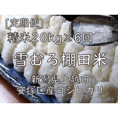 【毎月定期便】雪むろ棚田米コシヒカリ20kg精米-新潟県上越市安塚区産-全6回