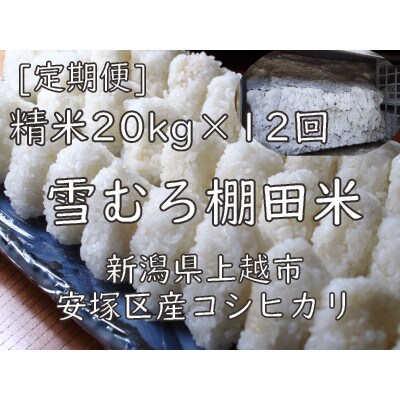【毎月定期便】雪むろ棚田米コシヒカリ20kg精米-新潟県上越市安塚区産-全12回